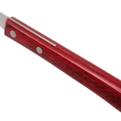 Amefa Brasero 4957 Steakmesser 6 Stück -Koch Klingen Verkaufsgeschäft AM495715BC05BR1 05 amefa scaled