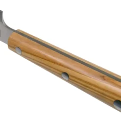 Due Cigni Hakucho Sashimi 25 Cm, Olivenholz -Koch Klingen Verkaufsgeschäft DG2C509OL 04 due cigni scaled