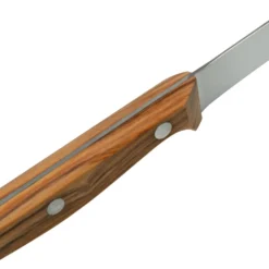 Due Cigni Tuscany 2C765-11OL Steakmesser 11 Cm Olivenholz -Koch Klingen Verkaufsgeschäft DG2C765 11OL 05 duecigni scaled