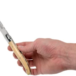 Fontenille Pataud Laguiole Steakmesserset 2-tlg. Buchsbaum, LTC2LB -Koch Klingen Verkaufsgeschäft FPLTC2LB 06 fontenille pataud scaled