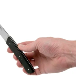 Fontenille Pataud Le Thiers Steakmesserset 2-tlg. Ebenholz, TR2TE -Koch Klingen Verkaufsgeschäft FPTR2TE 06 fontenille pataud scaled