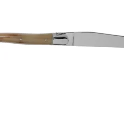 Forge De Laguiole T22MINBC Horn Poliert 2-teiliges Steakmesserset 9 Forge De Laguiole T22MINBC Horn Poliert 2-teiliges Steakmesserset -Koch Klingen Verkaufsgeschäft LAT22MINBC 02 forge de laguiole scaled