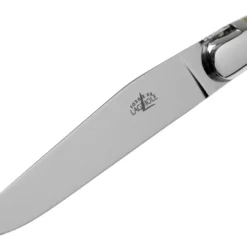 Forge De Laguiole T22MINBC Horn Poliert 2-teiliges Steakmesserset 10 Forge De Laguiole T22MINBC Horn Poliert 2-teiliges Steakmesserset -Koch Klingen Verkaufsgeschäft LAT22MINBC 03 forge de laguiole scaled