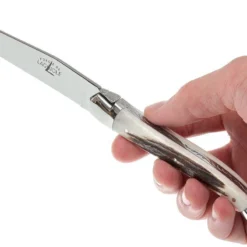 Forge De Laguiole, T22MINCFBRI, Hirschhorn -Koch Klingen Verkaufsgeschäft LAT22MINCFBRI 07 forge de laguiole steakmesset lat22mincfbri 07