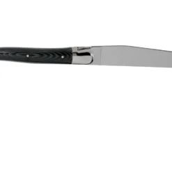 Forge De Laguiole T22MINTCNOI Schwarz Micarta Poliert 2-teiliges Steakmesserset 9 Forge De Laguiole T22MINTCNOI Schwarz Micarta Poliert 2-teiliges Steakmesserset -Koch Klingen Verkaufsgeschäft LAT22MINTCNOI 02 forge de laguiole scaled