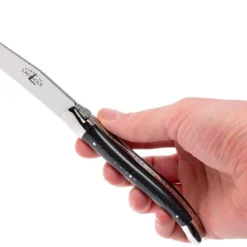 Forge De Laguiole, T62MINTCNOI, Micarta Steakmesserset -Koch Klingen Verkaufsgeschäft LAT62MINTCNOI 06 forge de laguiole lat62mintcnoi 06