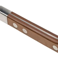 Maserin TEGI 2500-12PM Steakmesser Braun, 12 Cm -Koch Klingen Verkaufsgeschäft ME2500 12PM 04 maserin scaled