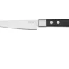 Maserin TEGI 2500-12PN Steakmesser Schwarz, 12 Cm -Koch Klingen Verkaufsgeschäft ME2500 12PN 01 maserin scaled