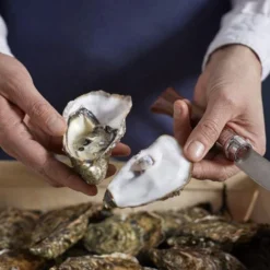 Opinel Austernmesser Nr. 09 15 Opinel Austernmesser Nr. 09 -Koch Klingen Verkaufsgeschäft OP001616 07 opinel oestermes op001616 08