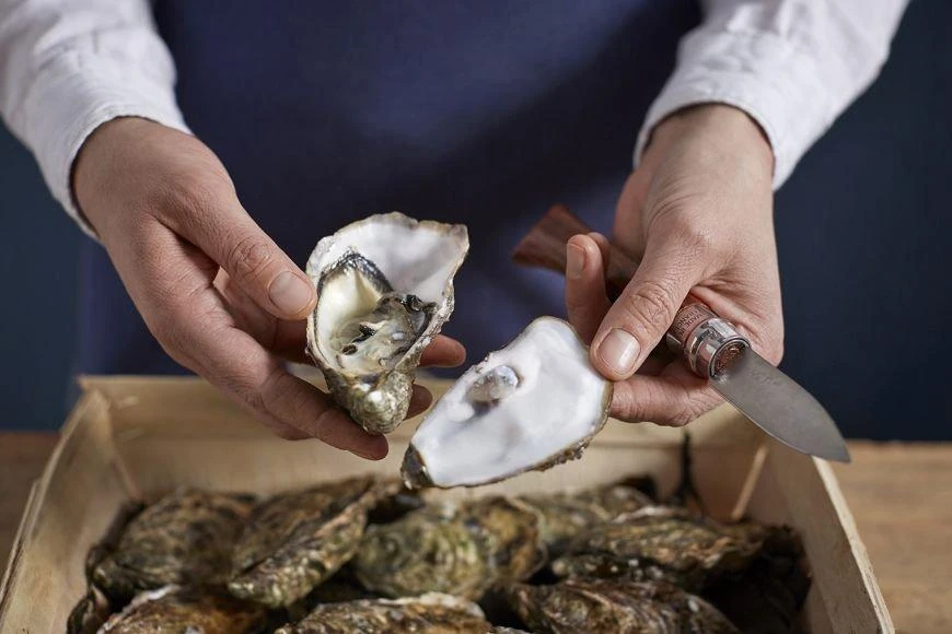 Opinel Austernmesser Nr. 09 8 Opinel Austernmesser Nr. 09 – Bild 6