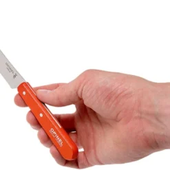 Opinel Frühstücksmesser Mandarine, 002176 -Koch Klingen Verkaufsgeschäft OP002176 05 opinel op002176 05