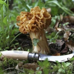 Opinel N°08 Pilzmesser -Koch Klingen Verkaufsgeschäft OP08 06 opinel champignonmes op08 07