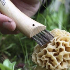 Opinel N°08 Pilzmesser -Koch Klingen Verkaufsgeschäft OP08 06 opinel champignonmes op08 08