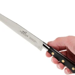 Lion Sabatier Idéal Tranchiermesser 20 Cm, 713280 -Koch Klingen Verkaufsgeschäft SA713280 06 lion sabatier ideal inox sa713280 06