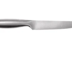 Lion Sabatier Fuso Steakmesserset 2-teilig, 747682 -Koch Klingen Verkaufsgeschäft SA747682 02 lion sabatier fuso sa747682 02