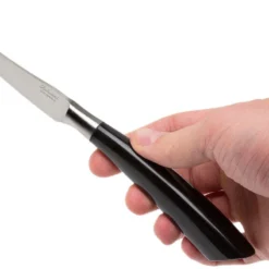 Saladini 6-teiliges Steakmesserset 23 Cm, Büffelhorn -Koch Klingen Verkaufsgeschäft SL4001PB6 07 saladini sl4001pb6 07