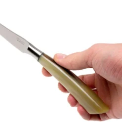 Saladini 6-teiliges Steakmesserset 23 Cm, Ochsenhorn -Koch Klingen Verkaufsgeschäft SL4001PC6 07 saladini sl4001pc6 07