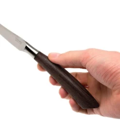 Saladini 6-teiliges Steakmesserset 23 Cm, Wenge -Koch Klingen Verkaufsgeschäft SL4001PW6 07 saladini sl4001pw6 07