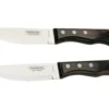 Tramontina Churrasco Jumbo 92000-002, 2-teiliges Steakmesser-Set -Koch Klingen Verkaufsgeschäft TC92000 002 01 landhaus scaled