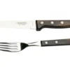Tramontina Churrasco Gaucho 92000-005, 2-teiliges Steak-Besteck-Set -Koch Klingen Verkaufsgeschäft TC92000 005 01 landhaus scaled