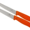 Victorinox SwissClassic Pizza-/Steakmesser Orange, 2 St., 6.7936.12L9B 2 Victorinox SwissClassic Pizza-/Steakmesser Orange, 2 St., 6.7936.12L9B -Koch Klingen Verkaufsgeschäft VT6 7936 12L9B 01 victorinox steakmes oranje vt vt6 7936 12l9b 01