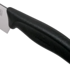 Victorinox SwissClassic 6.8003.22G Fleischmesser 22 Cm, Schwarz -Koch Klingen Verkaufsgeschäft VT6 8003 22G 05 victorinox scaled