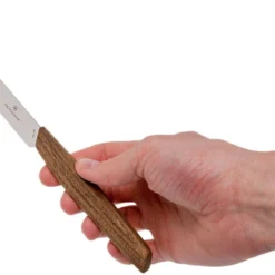 Victorinox Swiss Modern Steakmesser 12 Cm, 2er Set -Koch Klingen Verkaufsgeschäft VT6 9000 12G 06 victorinox vt6 9000 12g 06