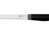 Zwilling Now S 1009656 Ausbeinmesser, 12cm -Koch Klingen Verkaufsgeschäft ZW1009656 01 zwilling scaled